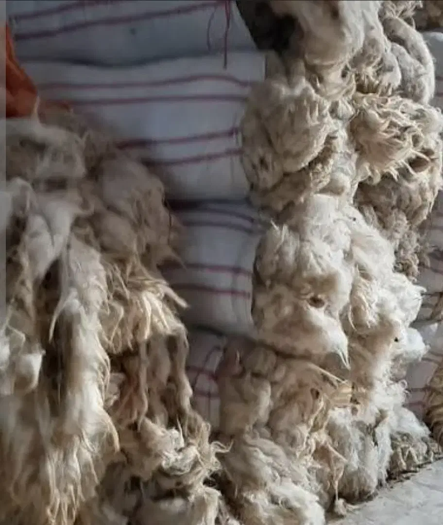 پشم گوسفند|رختخواب، بالش، پتو|اردبیل, |دیوار