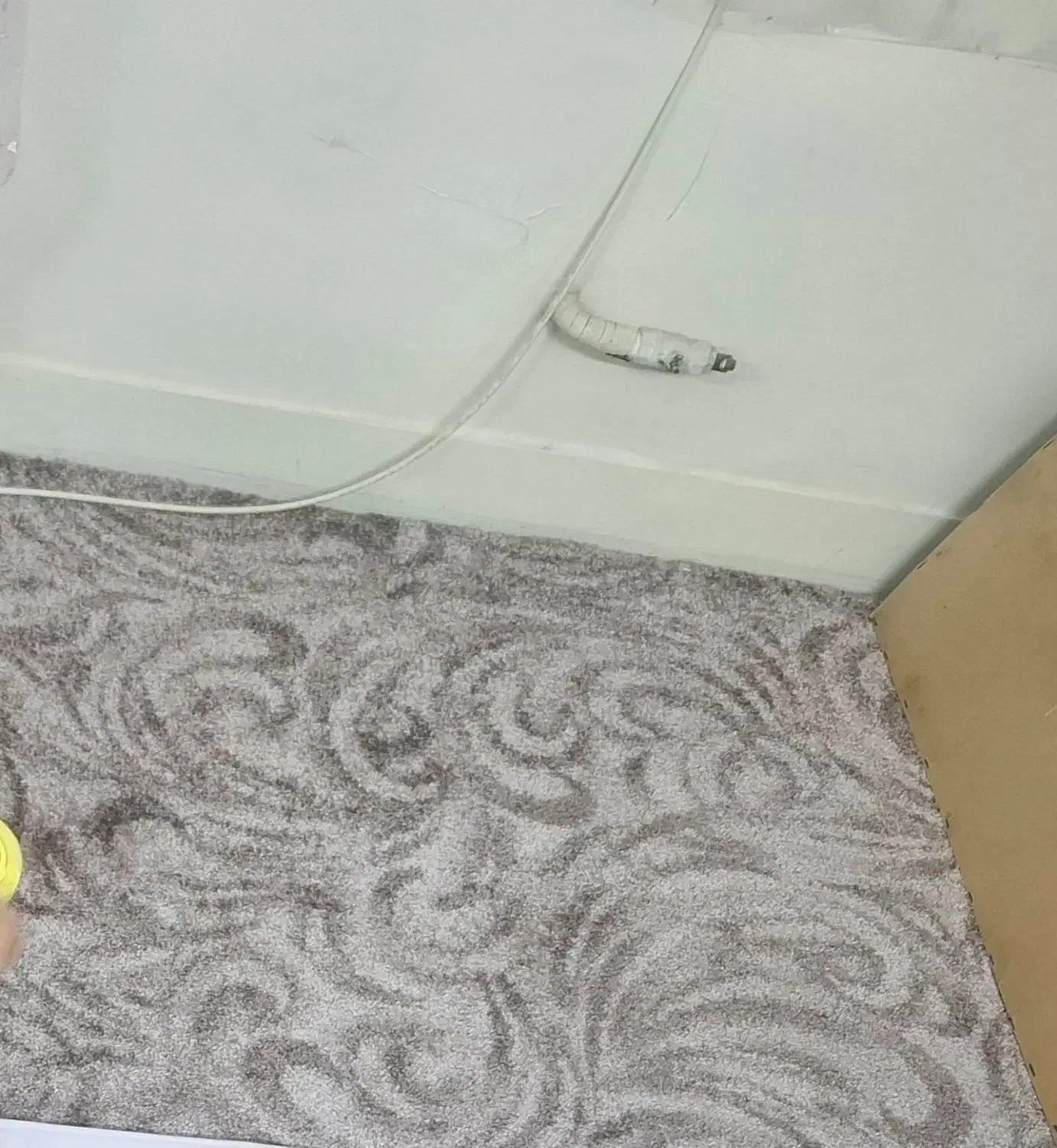 پالاز موکت سالم و نو|موکت|تهران, کیانشهر|دیوار