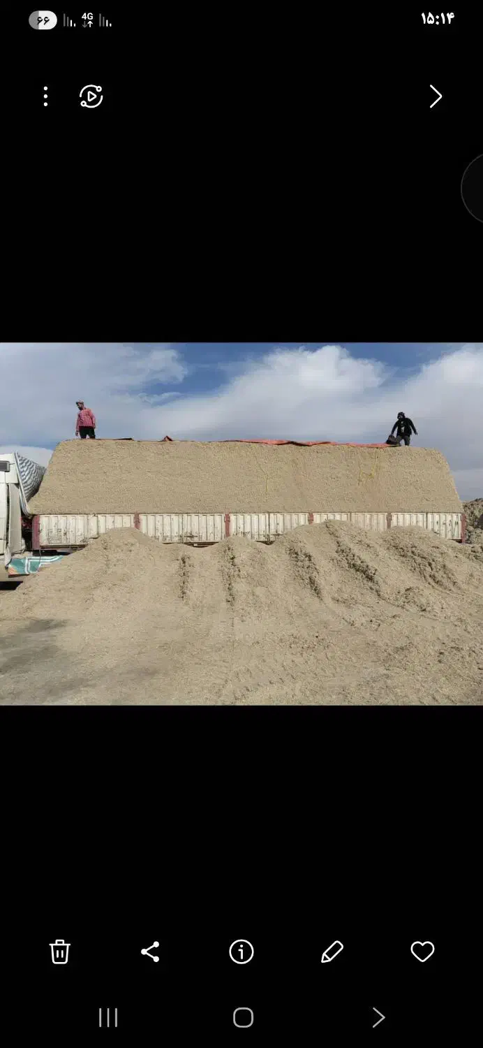 باگاس نیشکر|خدمات پیشه و مهارت|شهرضا, |دیوار