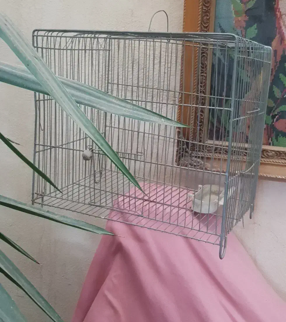 قدیمی|کلکسیون اشیاء عتیقه|باغستان, |دیوار