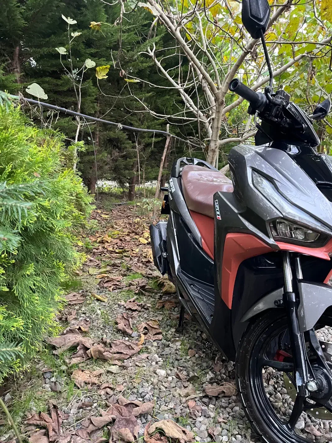 کلیک کویر ۱۵۰|موتورسیکلت|لیسار, |دیوار