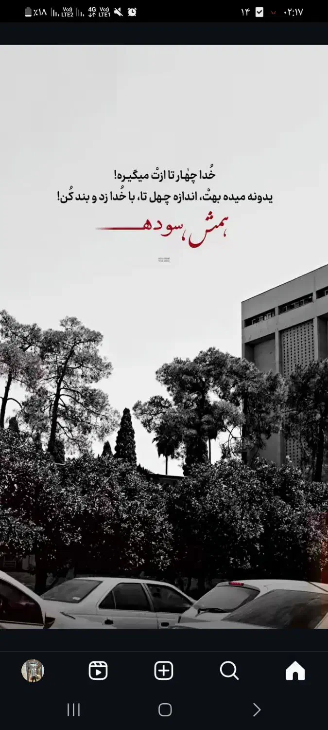 همسفر|فعالیت داوطلبانه|گنبد کاووس, |دیوار