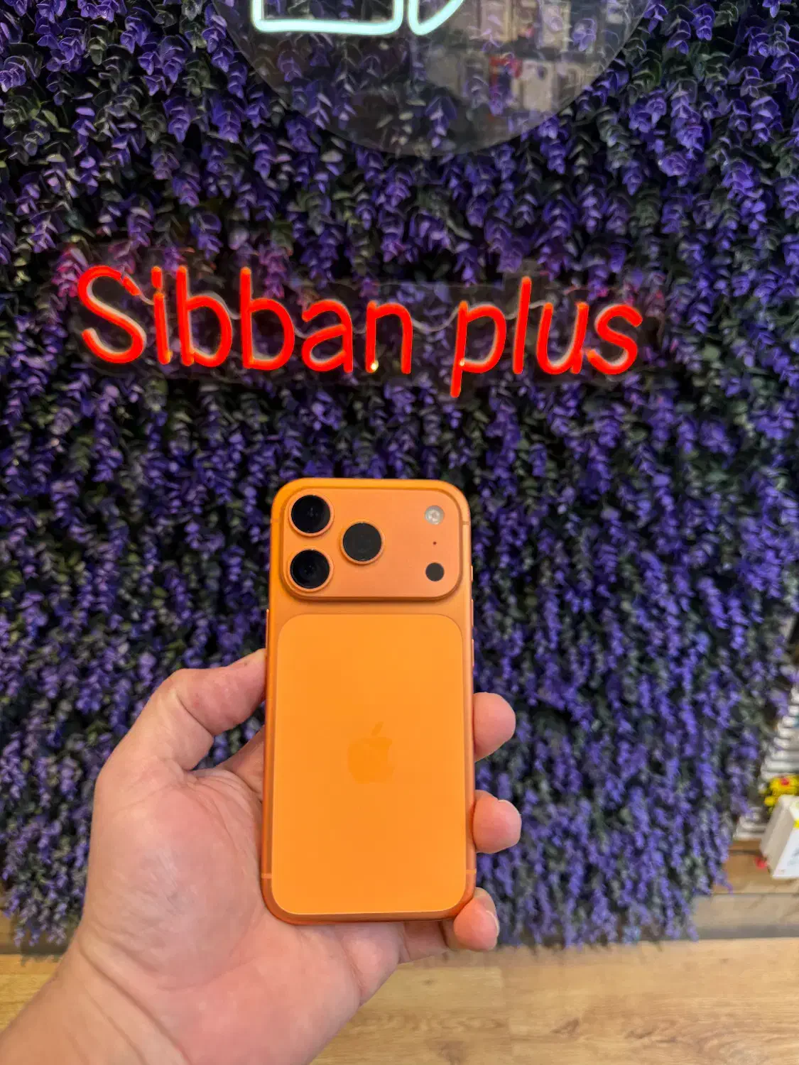 iphon 17 pro|موبایل|تبریز, |دیوار