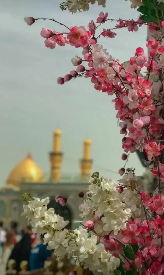 تور کربلا/زمینی و هوایی/اقساط ویژه بلند مدت|تور و چارتر|قم, دورشهر|دیوار