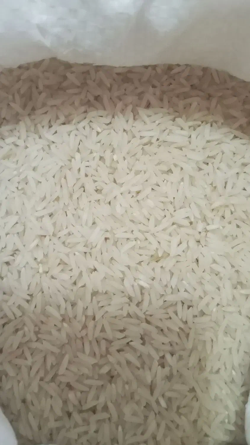 برنج طارم دم سیاه|خوردنی و آشامیدنی|ورامین, ورامین|دیوار