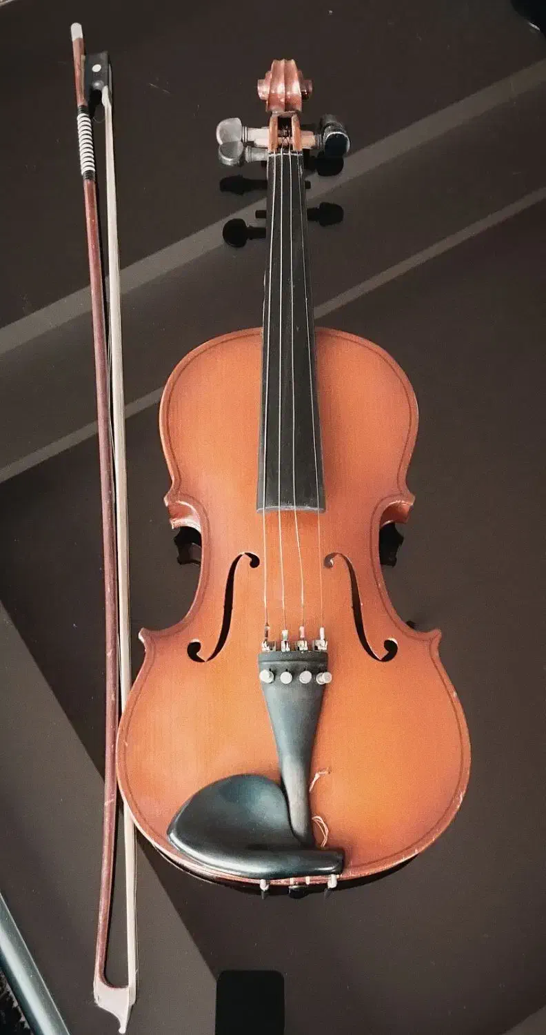 ویولن جوزپ گوارنری|ویولن|تبریز, |دیوار