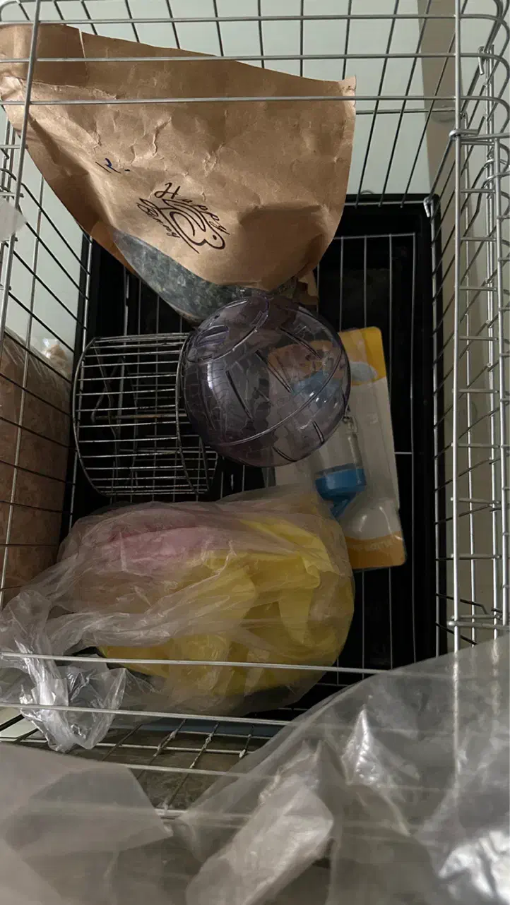 لوازم خرگوش و خوکچه هندی|لوازم جانبی حیوانات|تهران, صادقیه|دیوار