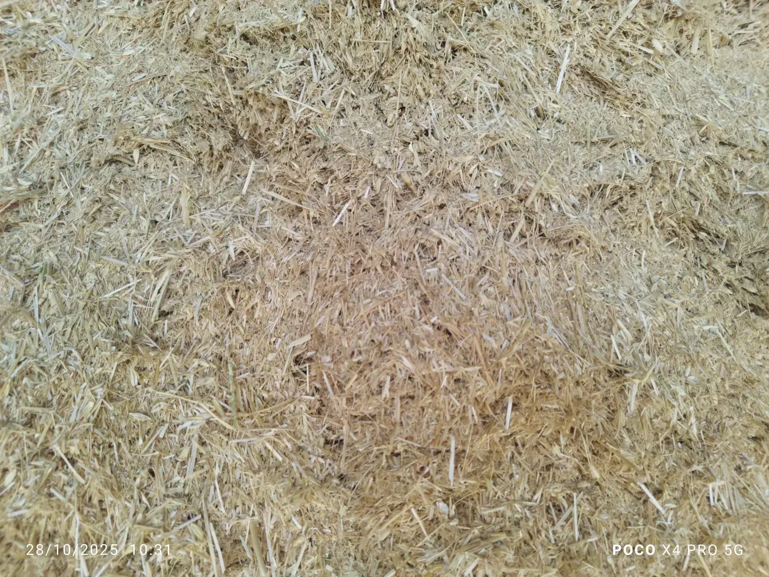 کاه گندم|لوازم جانبی حیوانات|رحمتآباد, |دیوار