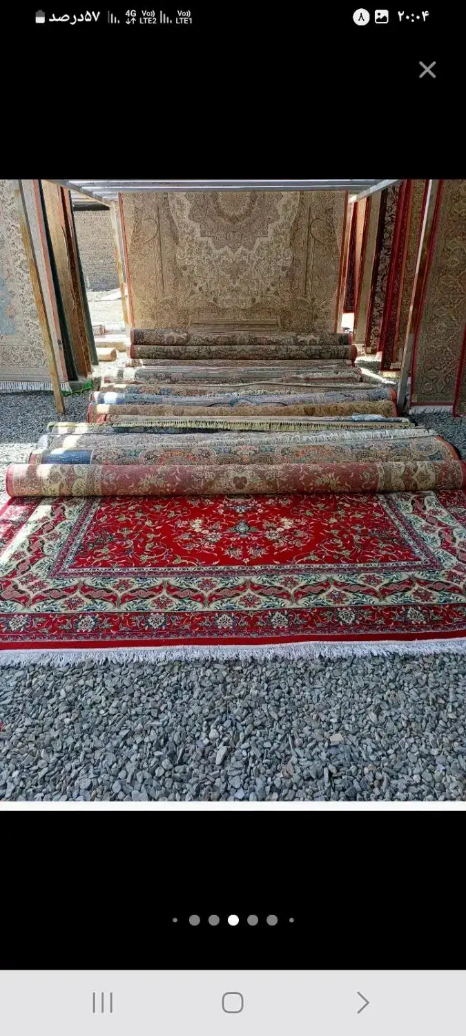 قالیشویی سیستان|خدمات نظافت|زابل, |دیوار