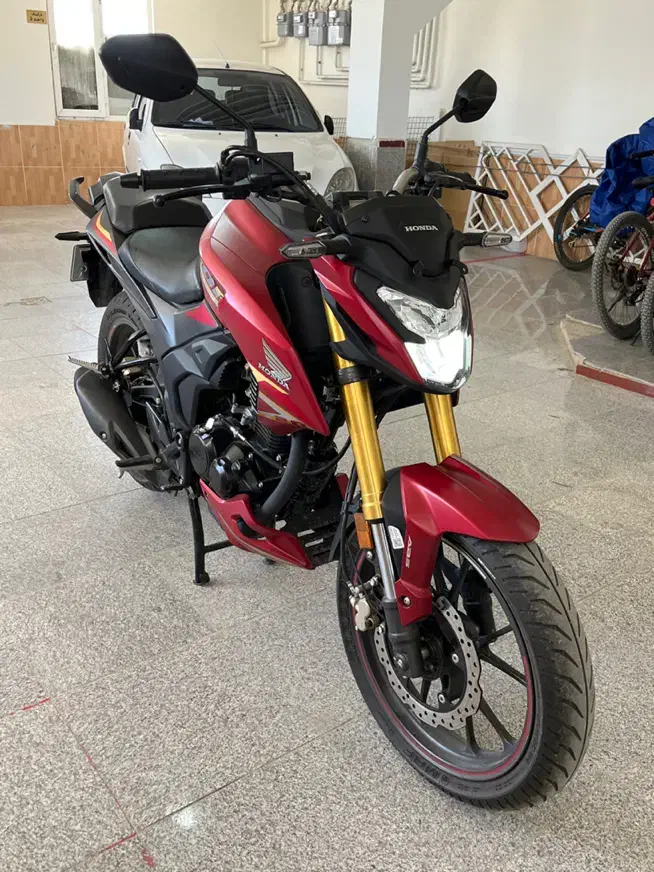 Honda hornet|موتورسیکلت|تهران, امیریه|دیوار