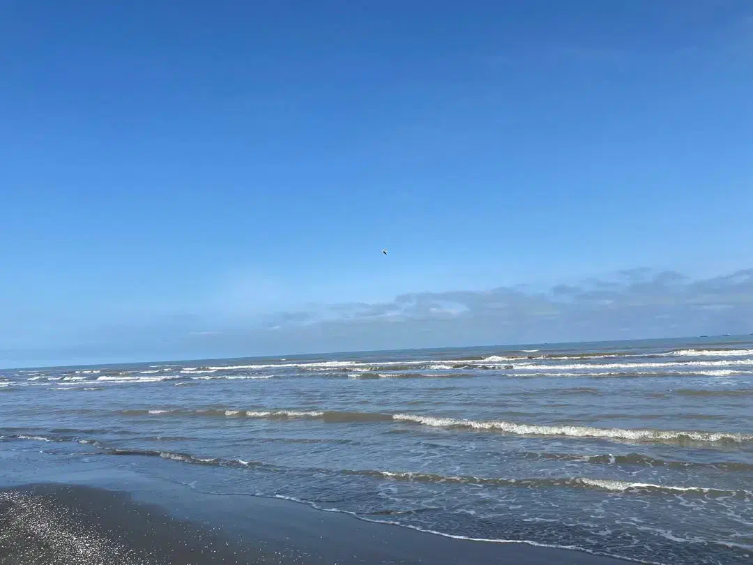 واحد فروش|استخدام بازاریابی و فروش|تبریز, |دیوار