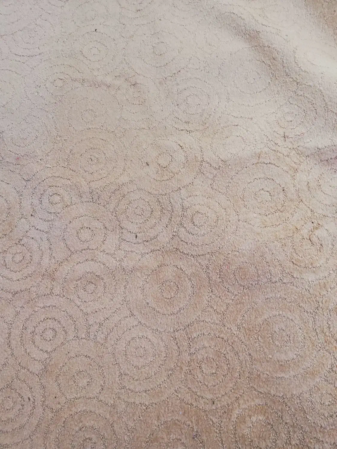 موکت|موکت|مشهد, کارمندان دوم|دیوار