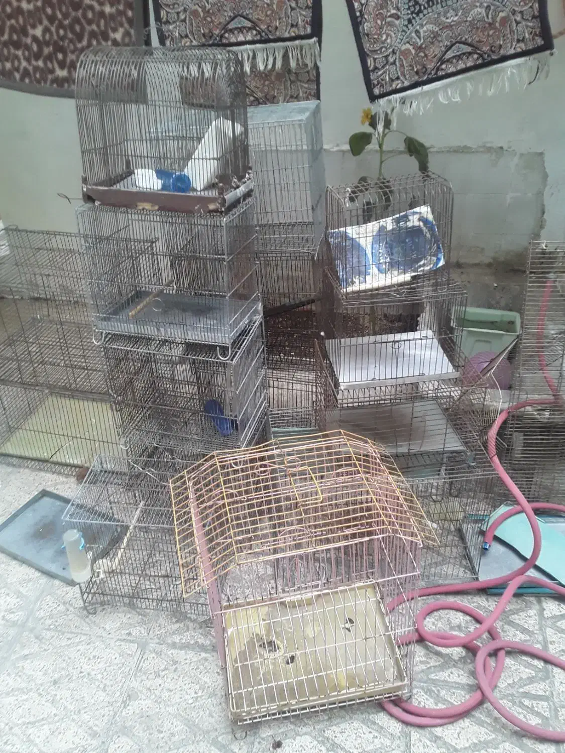قفس|لوازم جانبی حیوانات|تهران, یاخجی آباد|دیوار