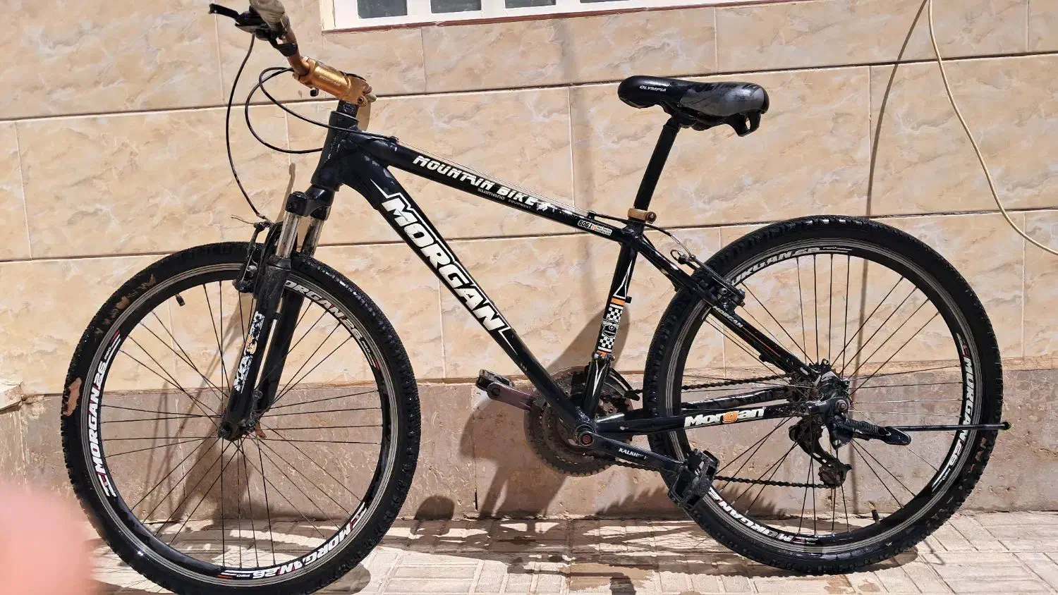 دوچرخه MORGAN26PRO|دوچرخه، اسکیت، اسکوتر|مرودشت, پشت سایپا|دیوار