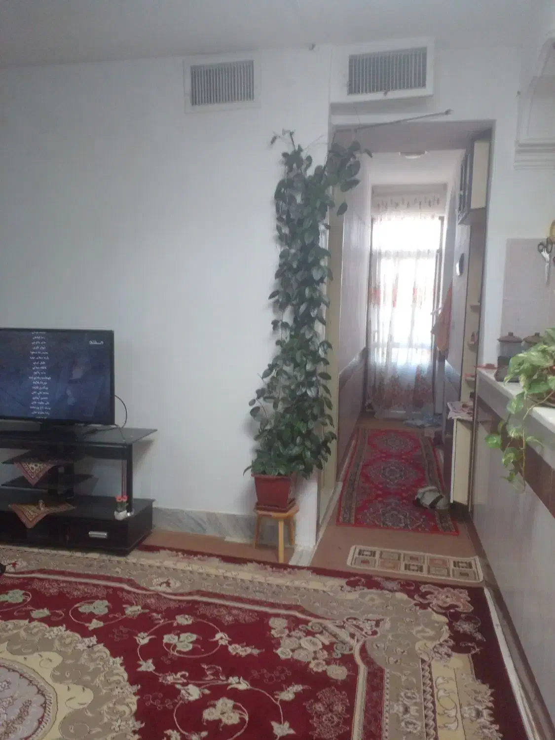 منزل اجاره ای تک خواب مرتب|اجارهٔ خانه و ویلا|اسفراین, |دیوار