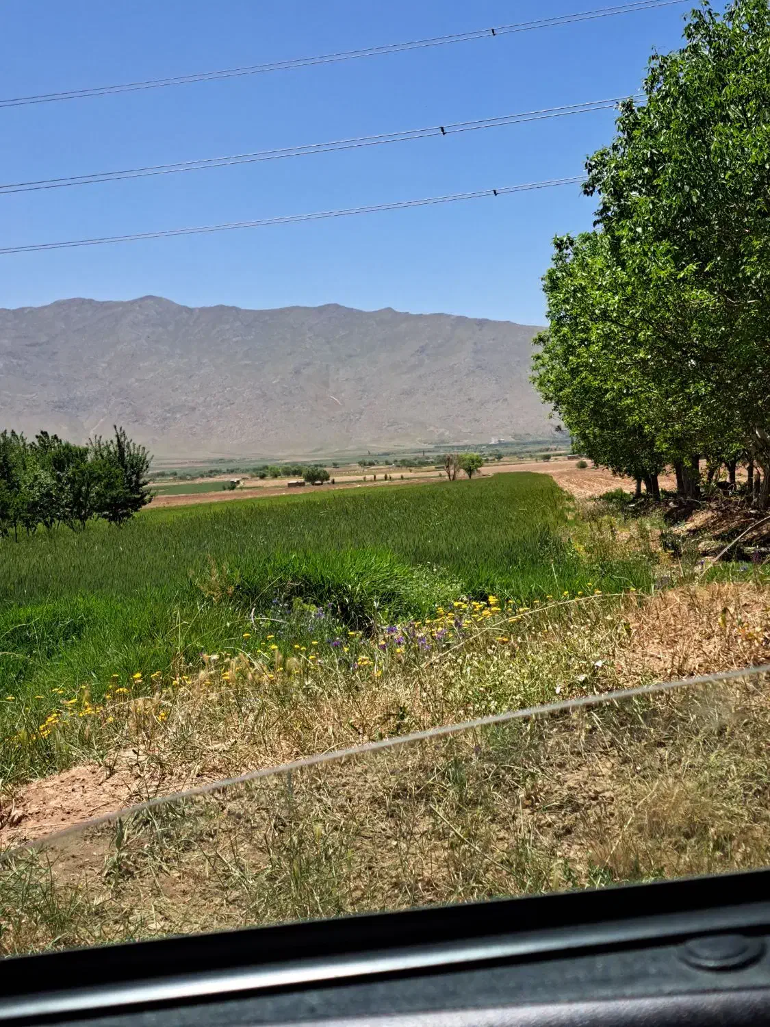 فروش زمین کشاورزی|فروش دفتر صنعتی، کشاورزی، تجاری|اراک, |دیوار