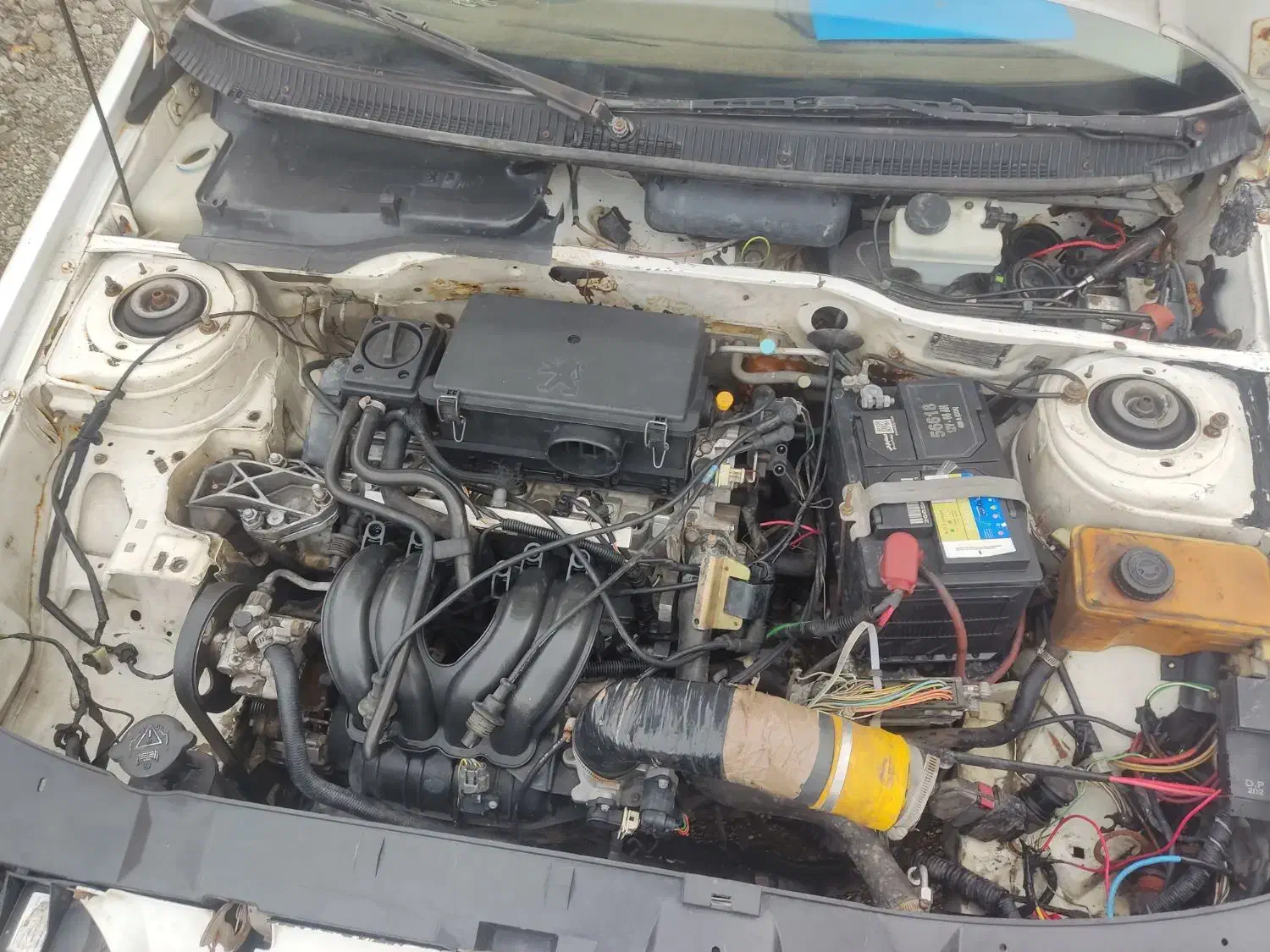 پژو پارس|خودرو سواری و وانت|بندرعباس, |دیوار