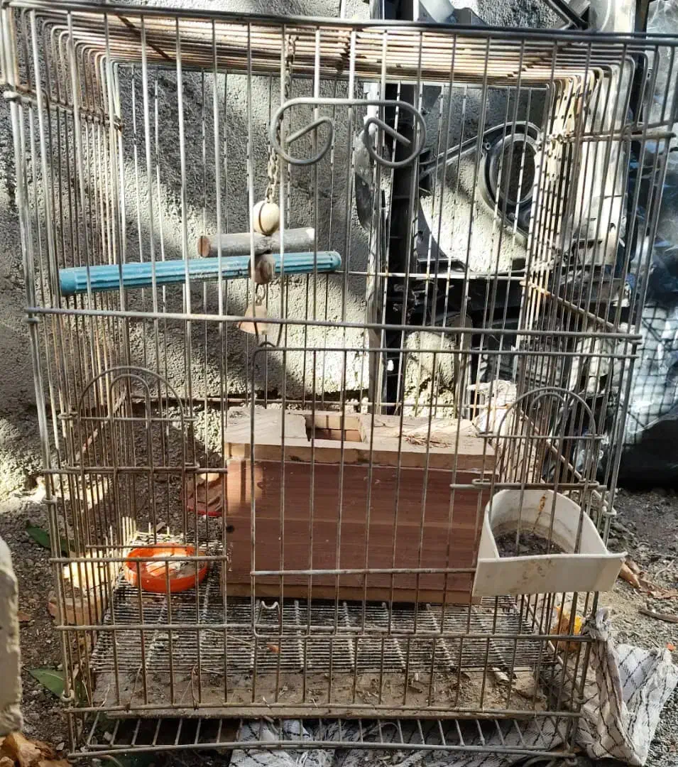 قفس کاسکویی|لوازم جانبی حیوانات|یاسوج, |دیوار