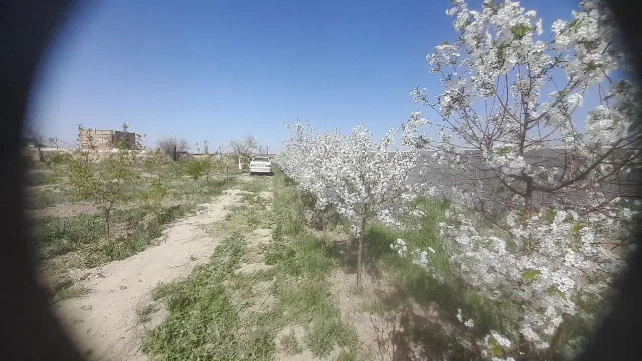 باغ در شهر وایقان ، شبستر|فروش خانه و ویلا|شبستر, |دیوار