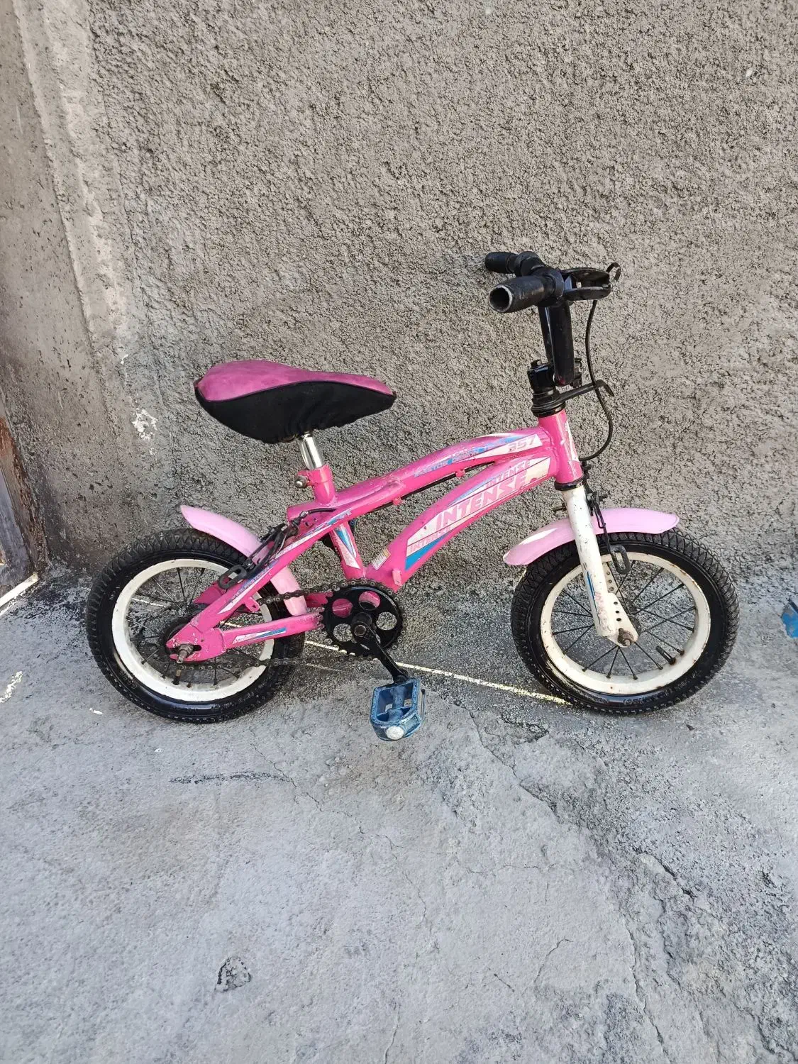 دوچرخه دوازده صورتی|دوچرخه، اسکیت، اسکوتر|خزل, |دیوار