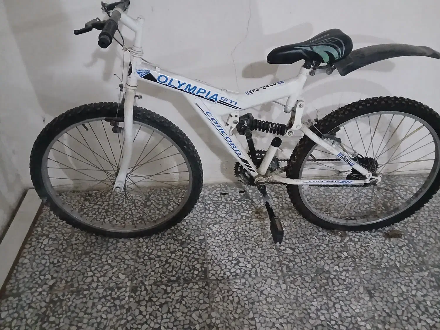 دوچرخه ویوا|دوچرخه، اسکیت، اسکوتر|رشت, رشتیان|دیوار