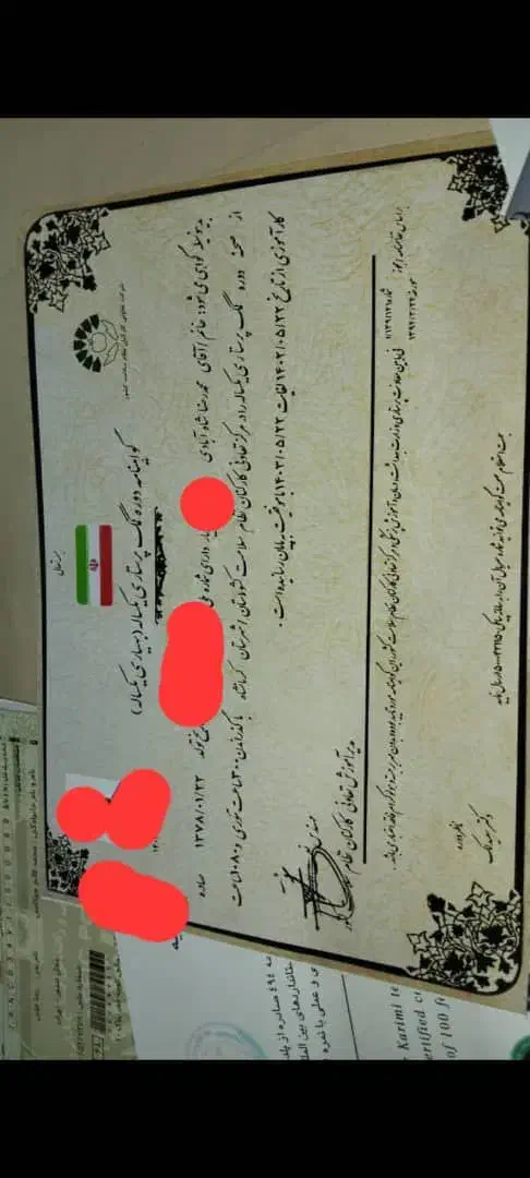 بهیاری، پرستاری، داروسازی، پیرا پزشکی|خدمات آموزشی|تهران, چیتگر شمالی|دیوار
