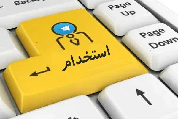 استخدام ۲ جوان اشنا به کامپیوتر و فتوکپی|استخدام رایانه و فناوری اطلاعات|اردبیل, |دیوار