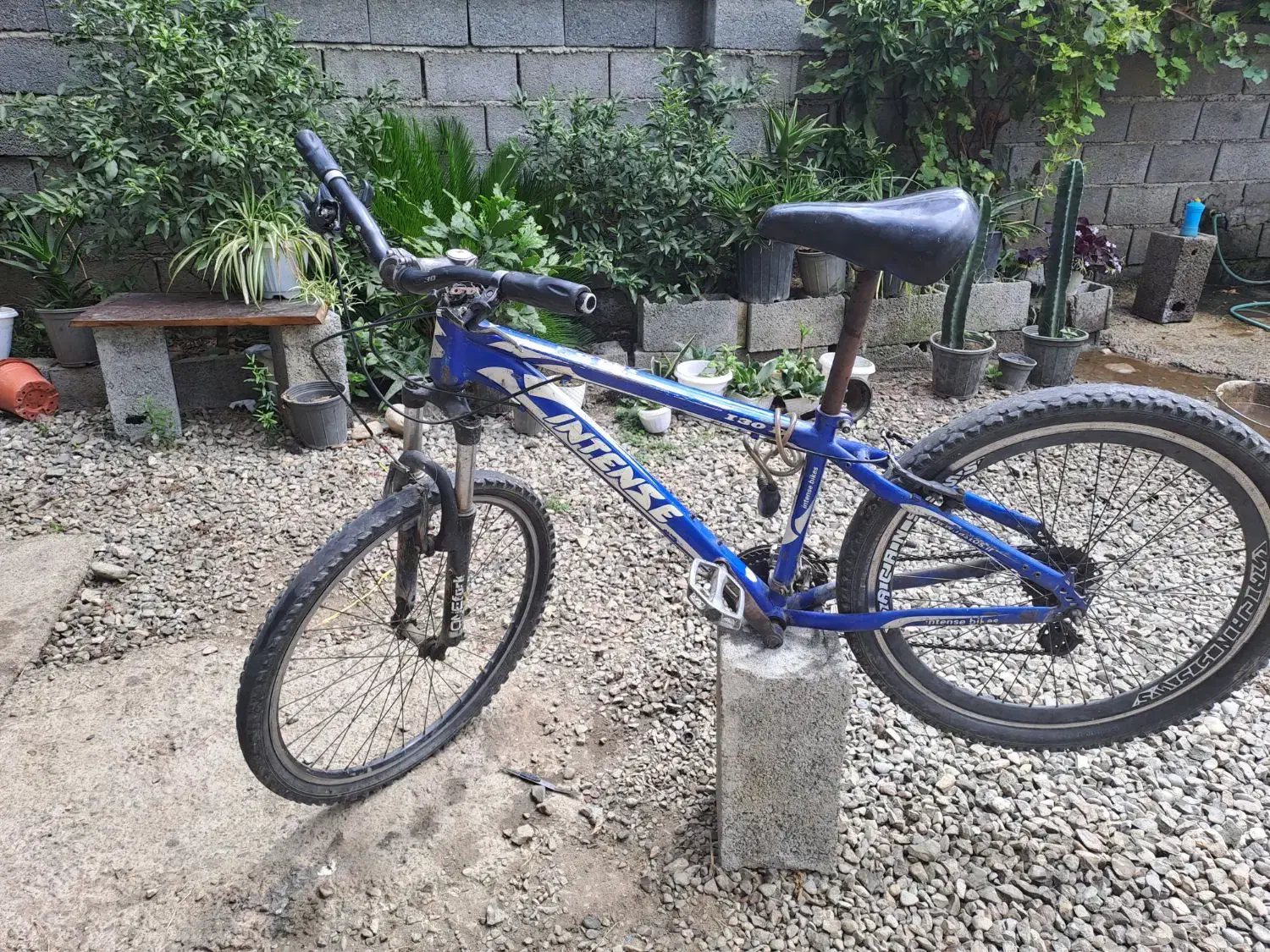 دوچرخه ۲۶|دوچرخه، اسکیت، اسکوتر|رامسر, |دیوار