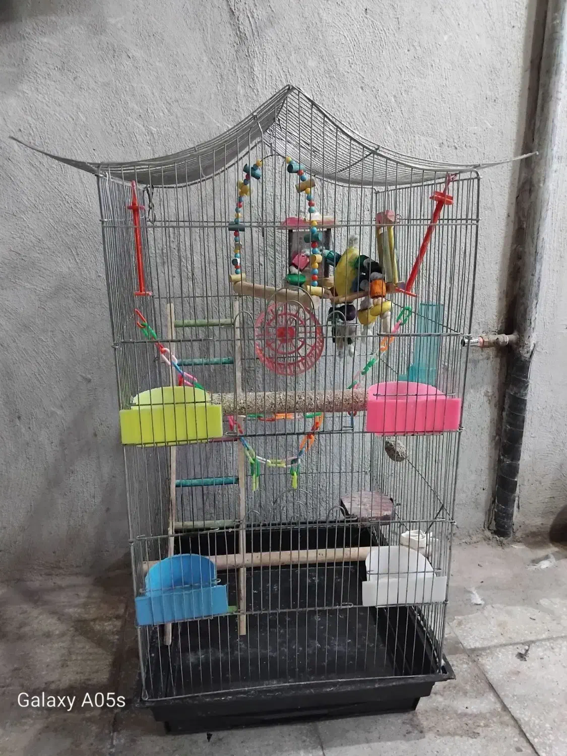 قفس پرنده|لوازم جانبی حیوانات|سبزوار, قلعه‌نو دهزار|دیوار