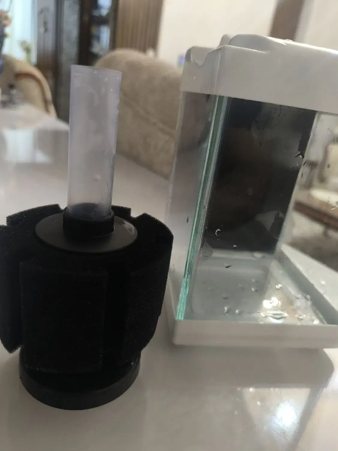 فیلتر اسفنجی در حد|ماهی|قم, پردیسان|دیوار