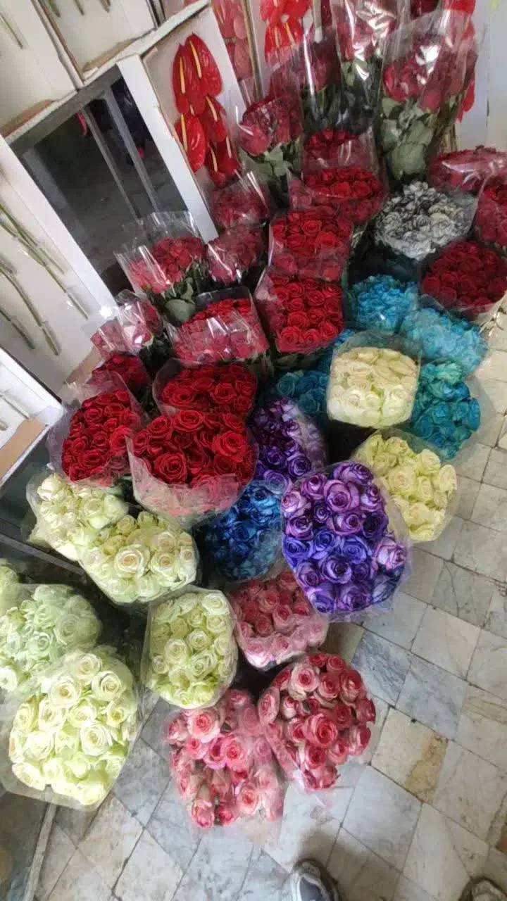 گل عمده (شاخه ای)|گل و گیاه طبیعی|ری, بازار گل خاوران|دیوار