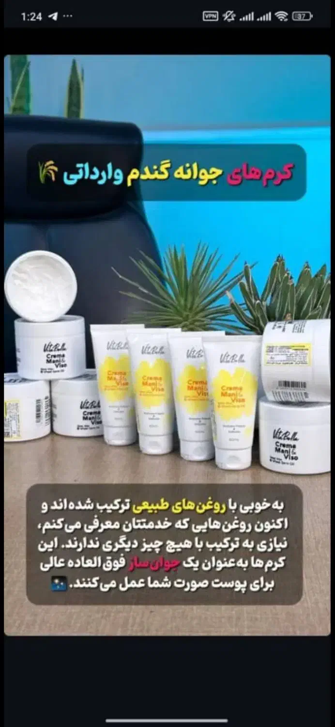 کرم جوانه گندم|آرایشی، بهداشتی، درمانی|صدرا-فارس, فاز ۱|دیوار