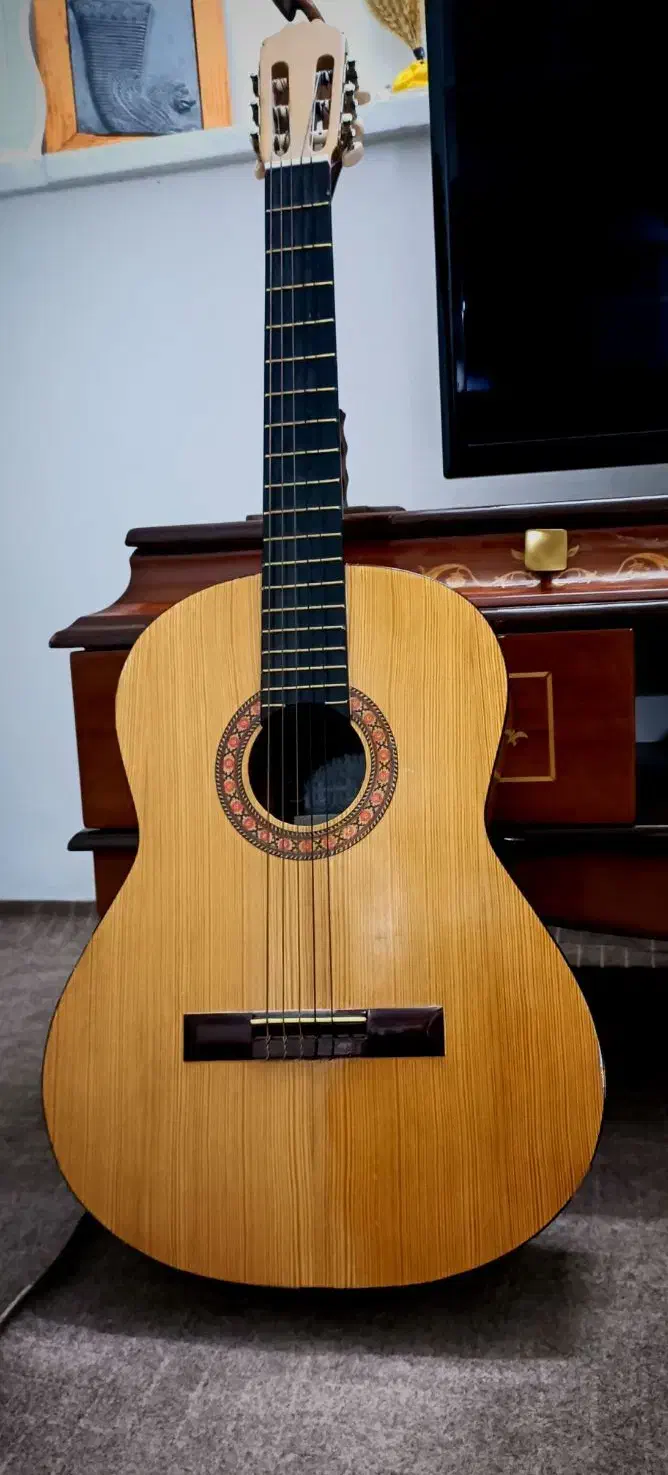 گیتار|گیتار، بیس، امپلیفایر|سبزوار, قصبه اب یمین|دیوار