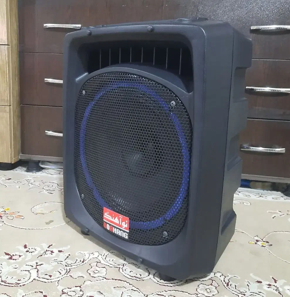 اکوهمراه۱۲اینچ نوآهنگ مدل N300|پخشکننده همراه|بجنورد, |دیوار