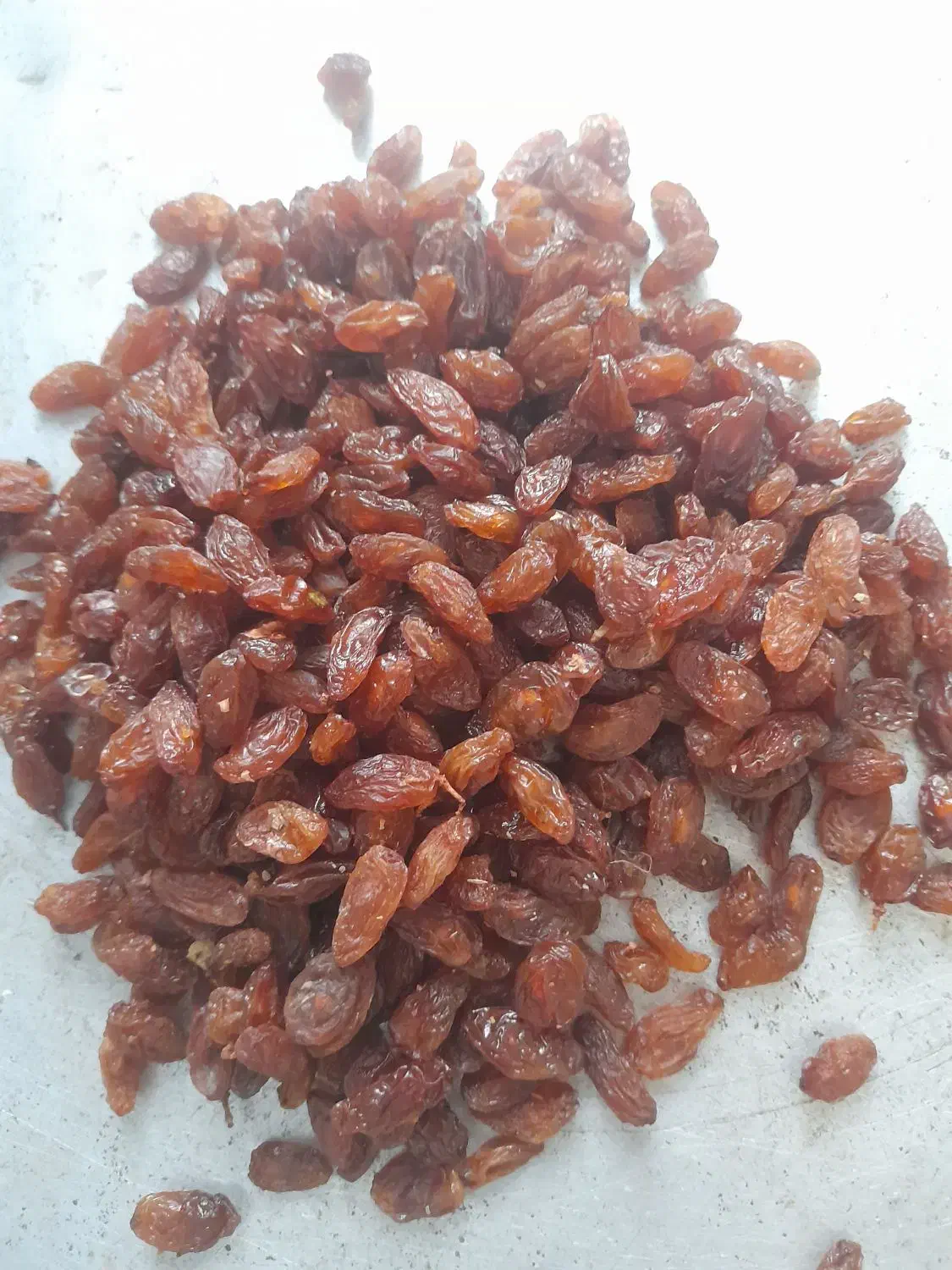 گله و کشمش آفتابی|خوردنی و آشامیدنی|کاشمر, |دیوار