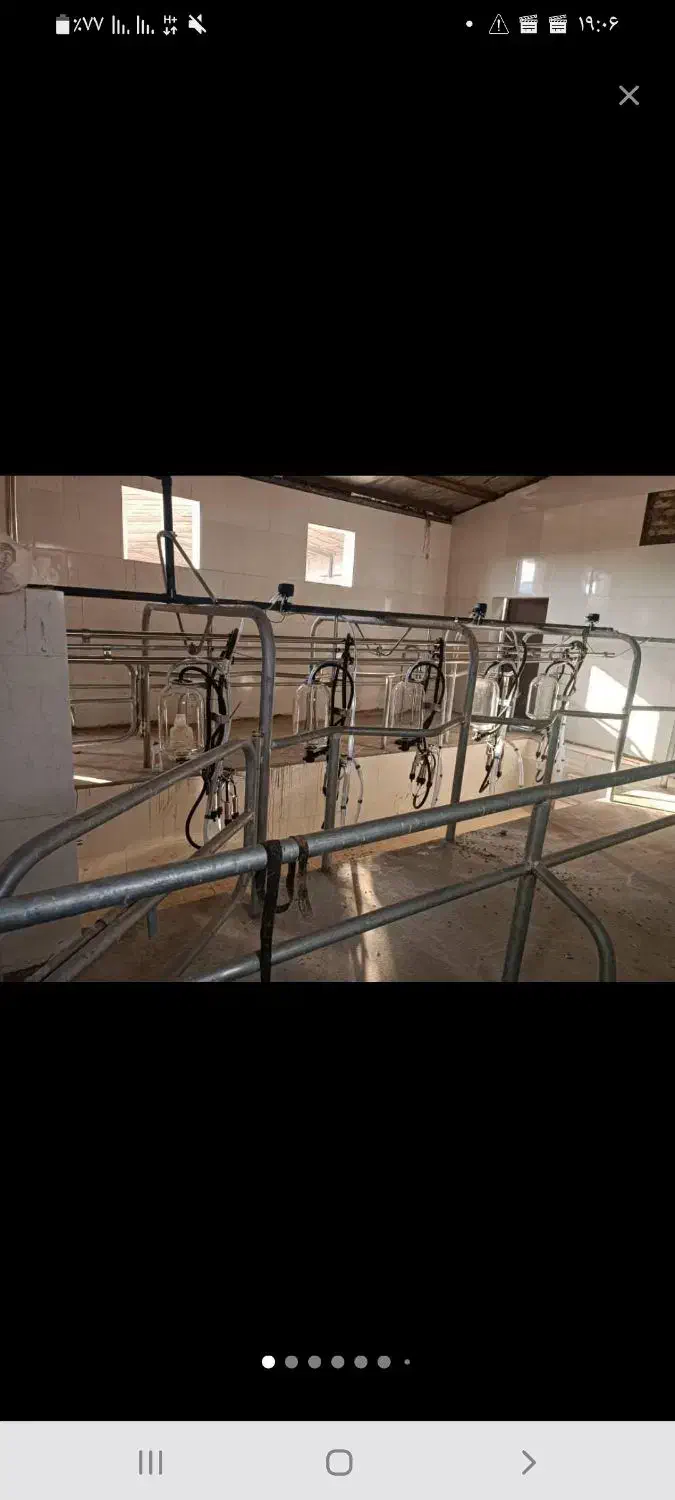 فروش گاوداری مجهز (قابل تهاتر)|فروش دفتر صنعتی، کشاورزی، تجاری|جوادآباد, |دیوار