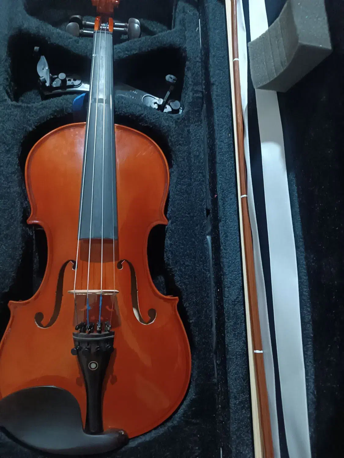 ویولن سایز ۴/۴|ویولن|شیروان (خراسان), |دیوار