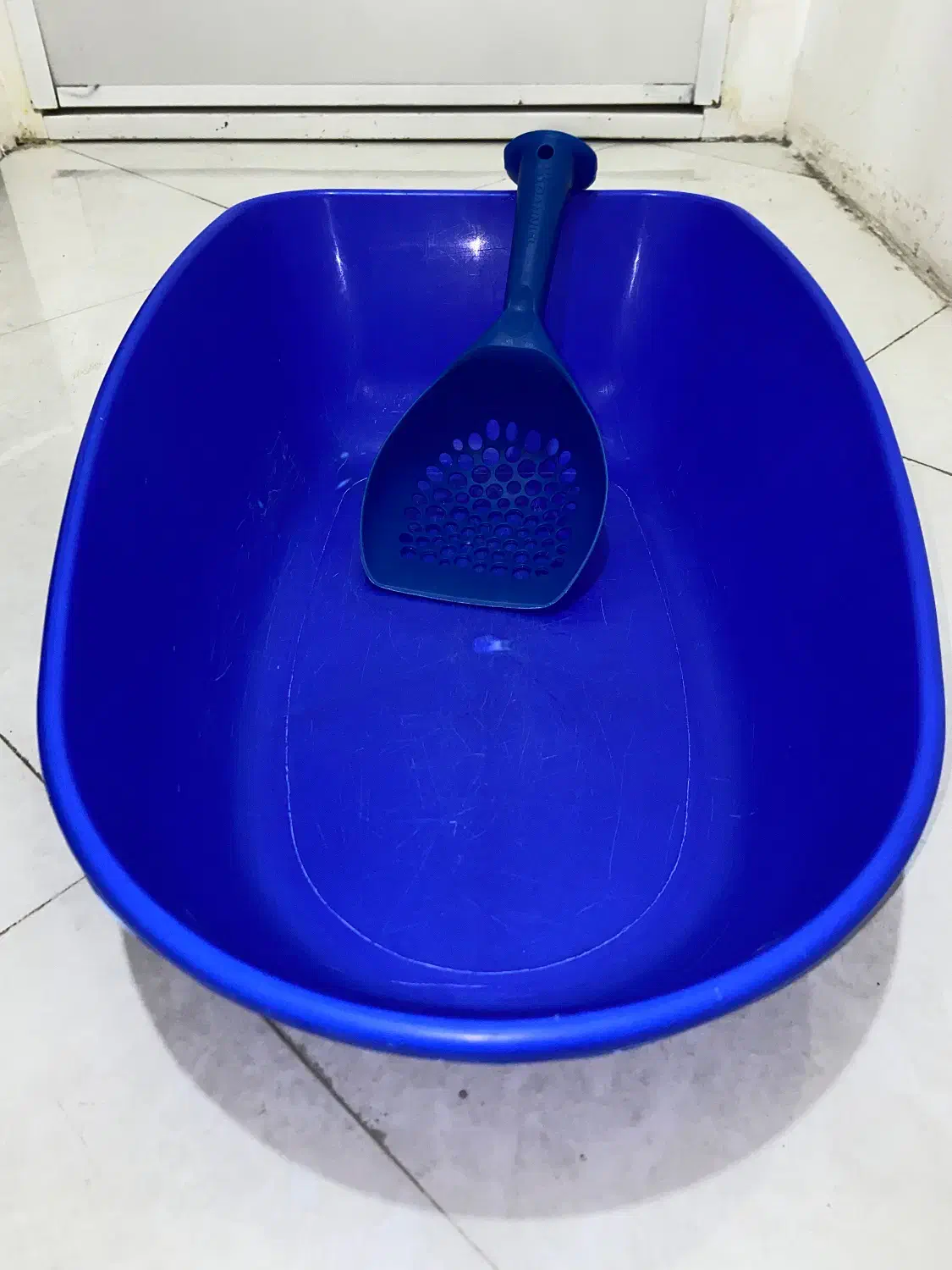 وسایل واجب گربه|لوازم جانبی حیوانات|مشهد, امیریه|دیوار