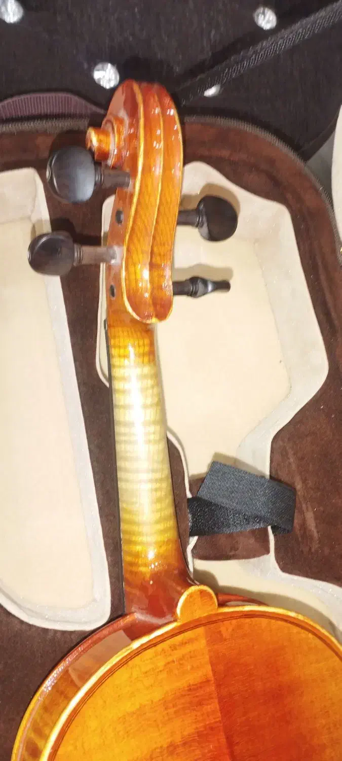 ویولن رناتو۲۲۰|ویولن|شیراز, شهرک قمشه|دیوار