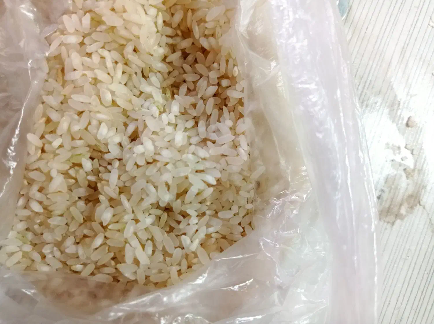 برنج وخرده برنج کامفیروزی نو|خوردنی و آشامیدنی|شیراز, کرونی(خاتونک)|دیوار