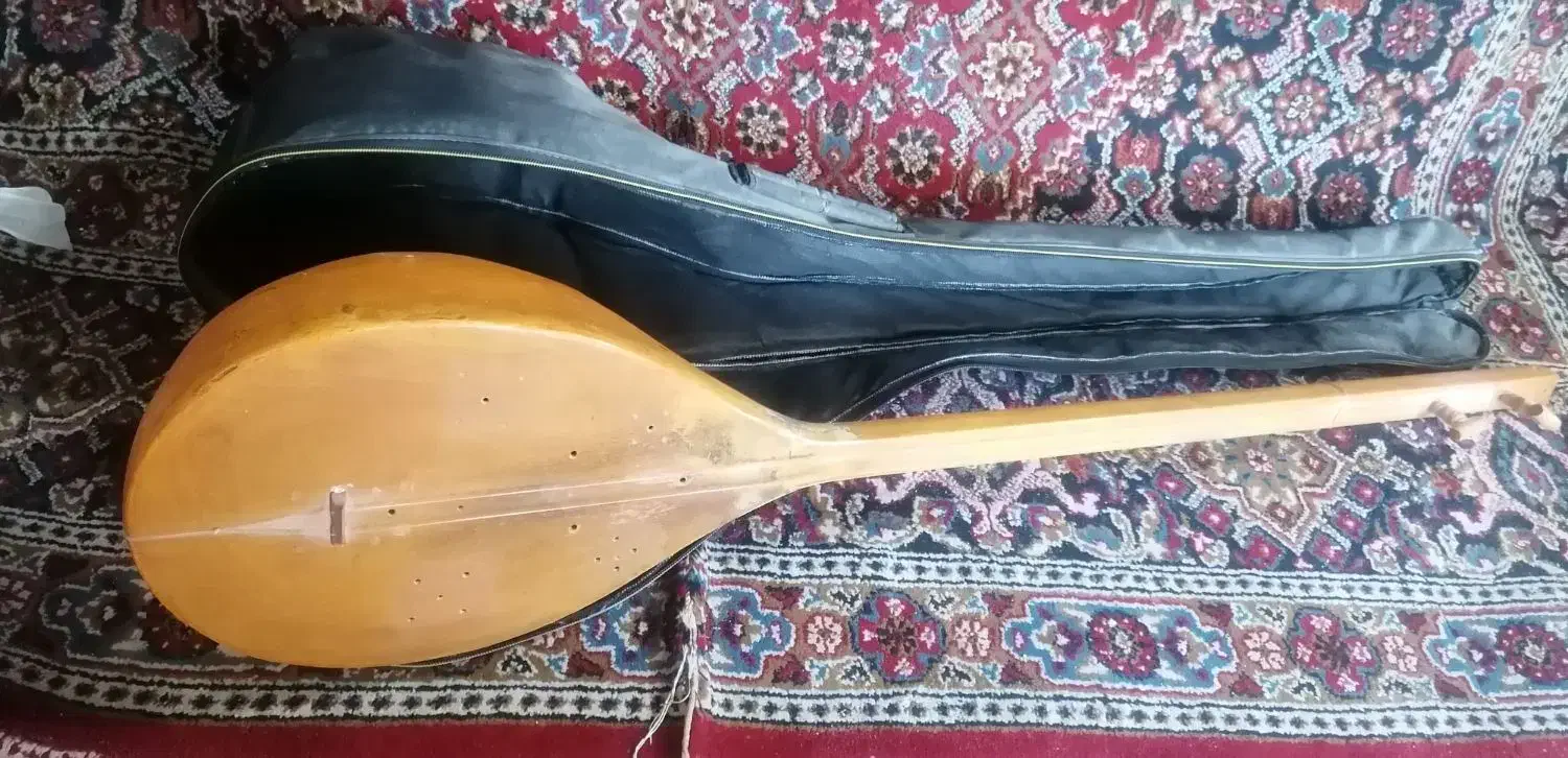 دوتار|سازهای سنتی|قرچک, مهدیه|دیوار