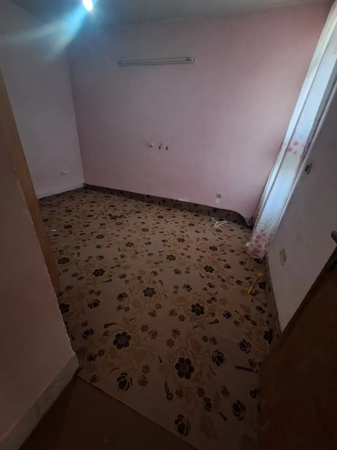 موکت های ترو تمیز|موکت|بجنورد, |دیوار