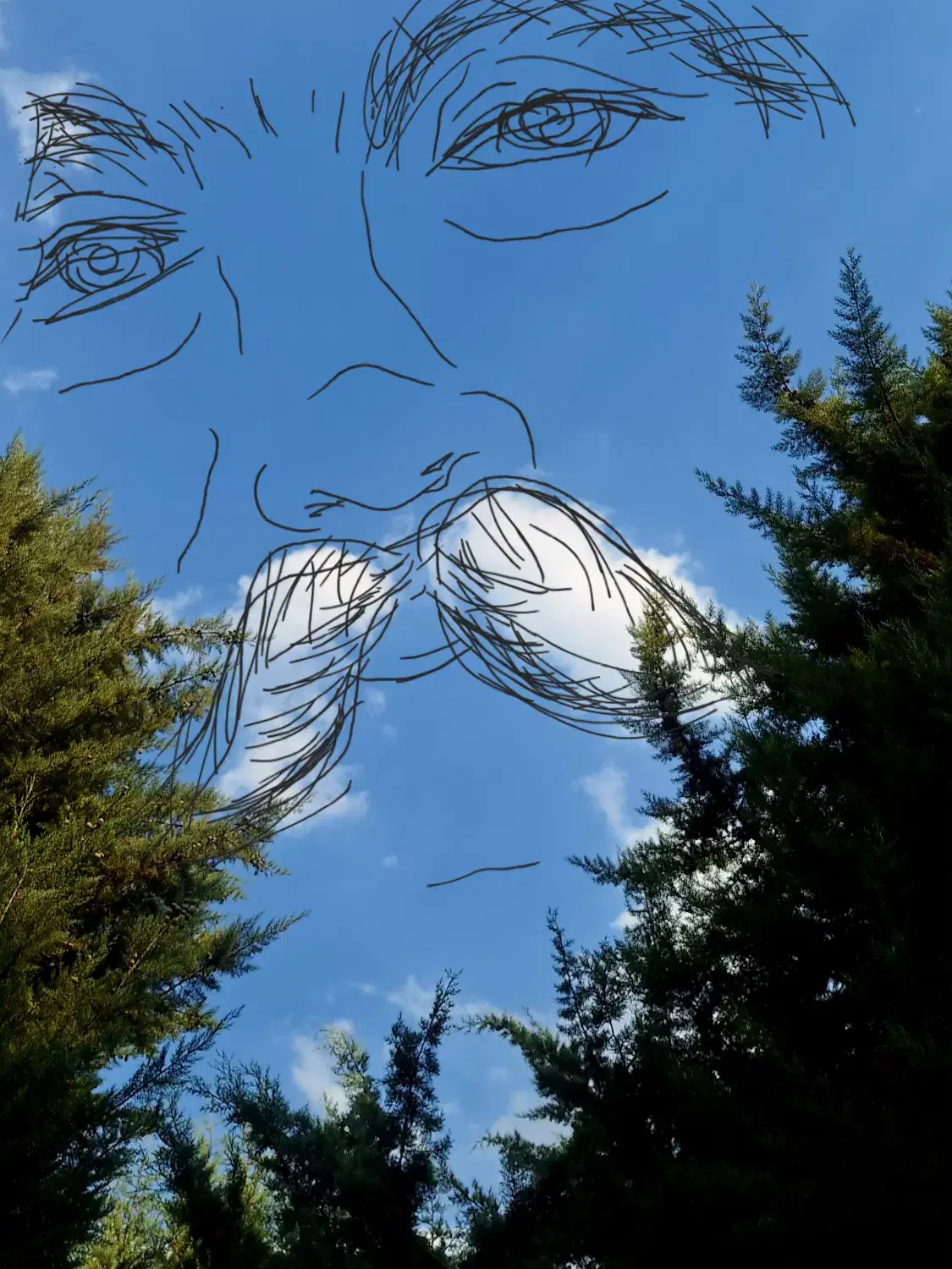 فروش خودرو سواری|خودرو سواری و وانت|کرج, عظیمیه|دیوار