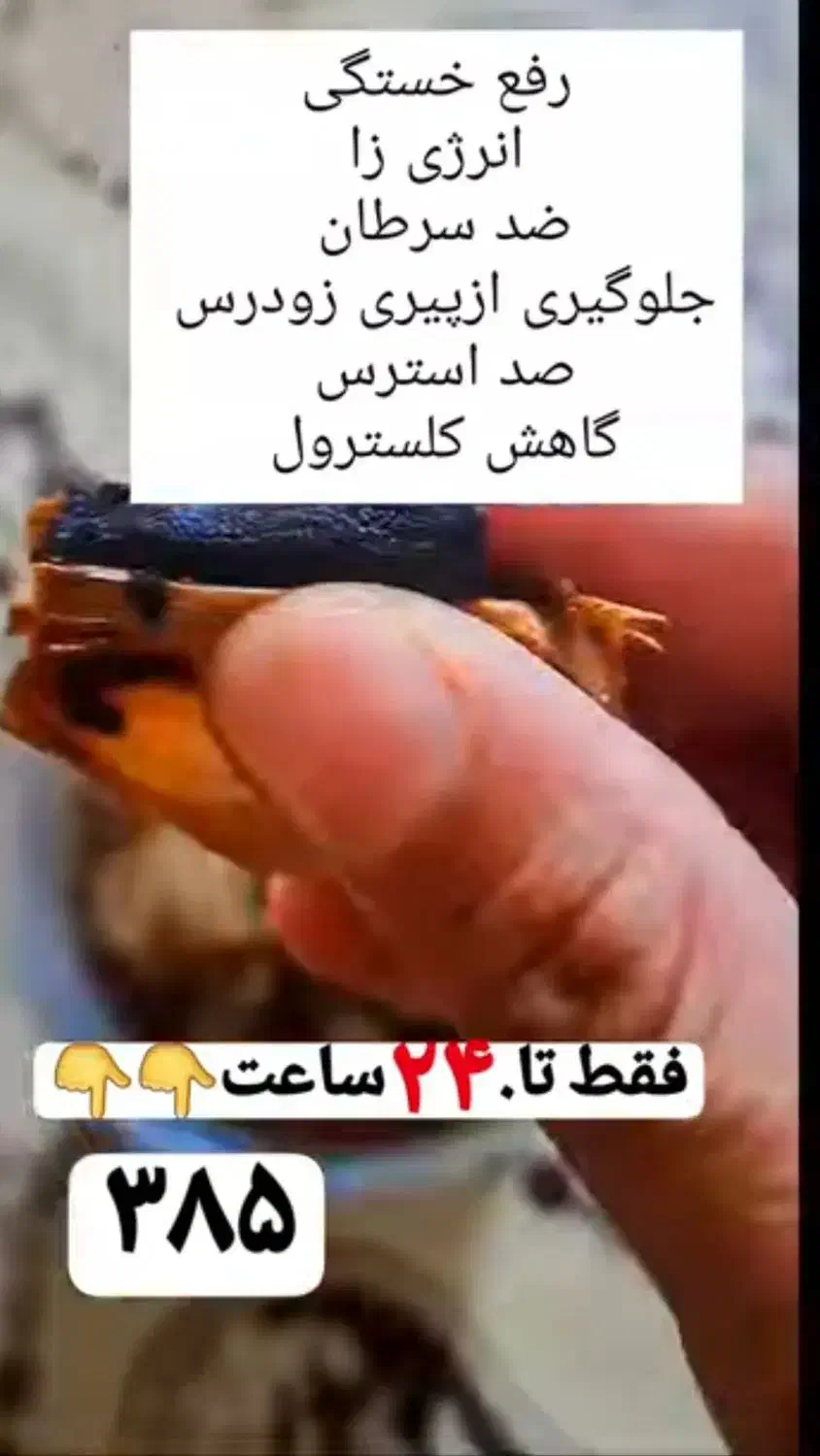 درمان قطعی چاقی واضافه وزن درکمترین زمان وزن کم کن|خوردنی و آشامیدنی|مینودشت, |دیوار