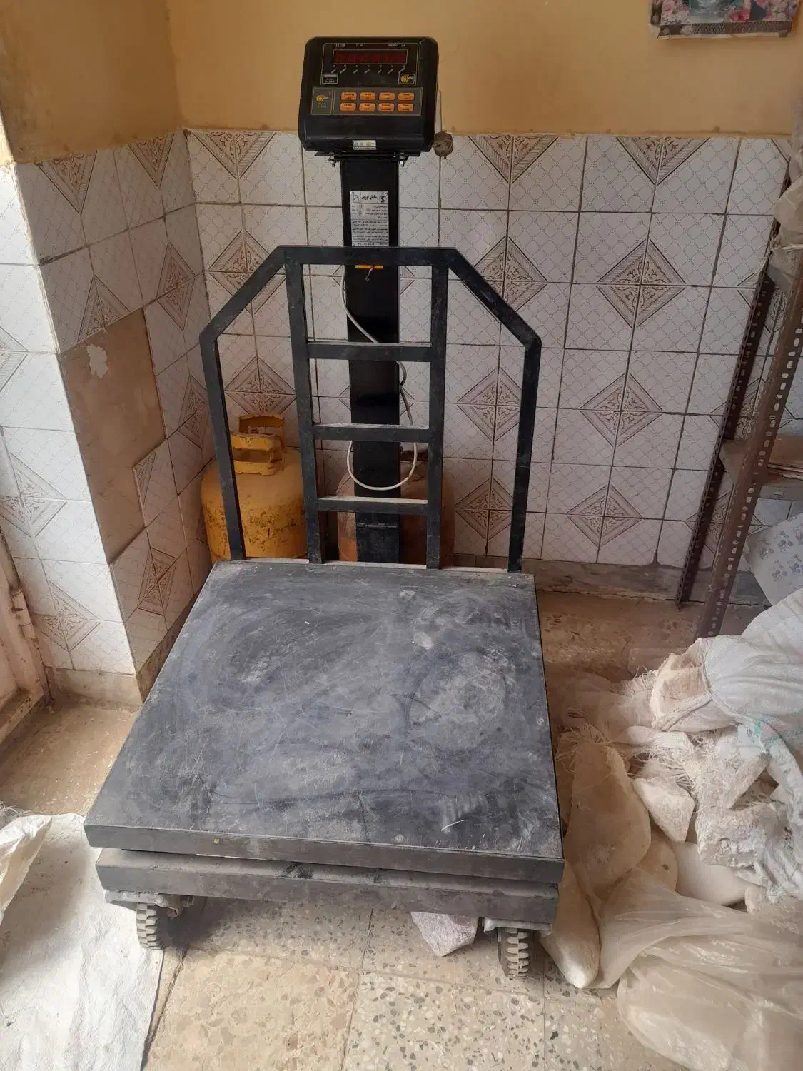 باسکول پانصد کیلوی وچهار راس میش افشاری جوان|حیوانات مزرعه|بن, |دیوار