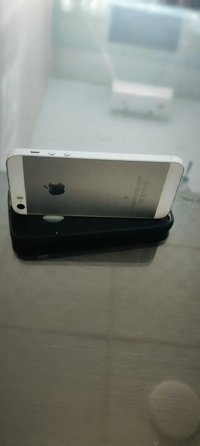 ایفون ، iphone|موبایل|شیراز, گل سرخ|دیوار