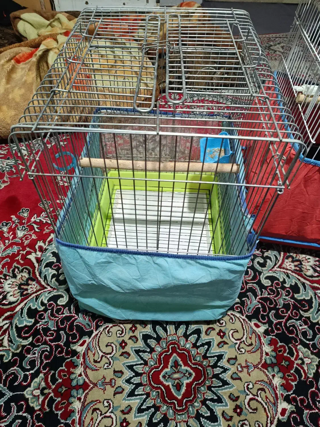 قفس کاسکویی مینا عروس هلندی طوطی برزیلی|لوازم جانبی حیوانات|شیراز, سیاه سنگ|دیوار