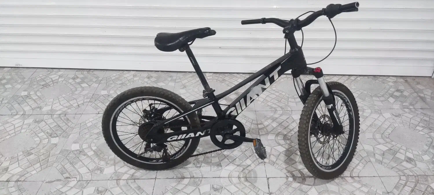 دوچرخه جاینت سایز ۲۰|دوچرخه، اسکیت، اسکوتر|بوشهر, |دیوار