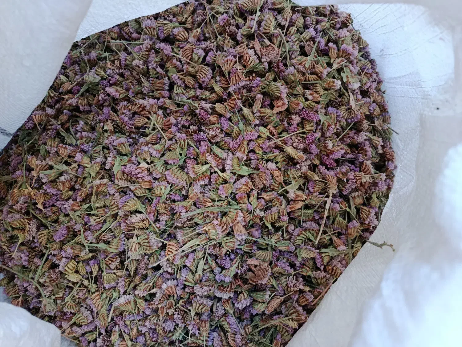 تخم ( بذر ) گل زنبوری یا گل خشک|گل و گیاه طبیعی|محلات, |دیوار