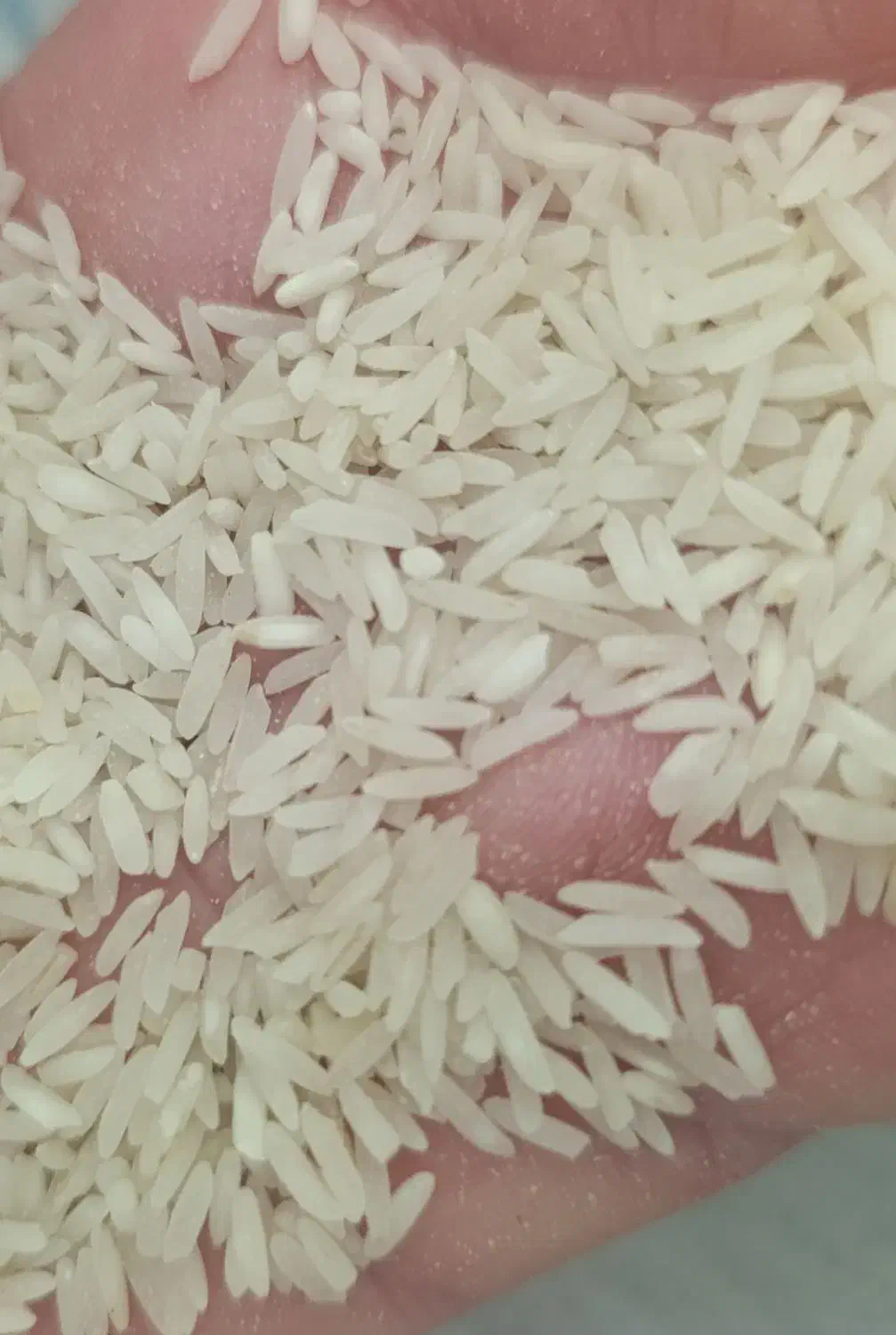 برنج محلی فجر پنج ستاره|خوردنی و آشامیدنی|شیراز, محراب|دیوار